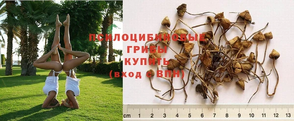 кокаин Касимов