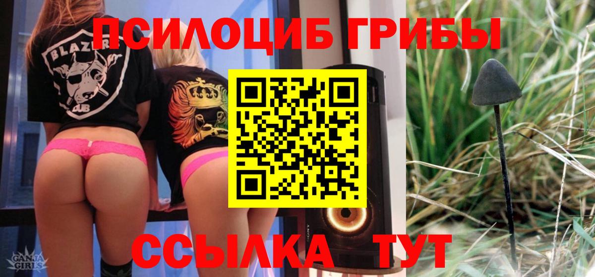 Галлюциногенные грибы прущие грибы Волжский