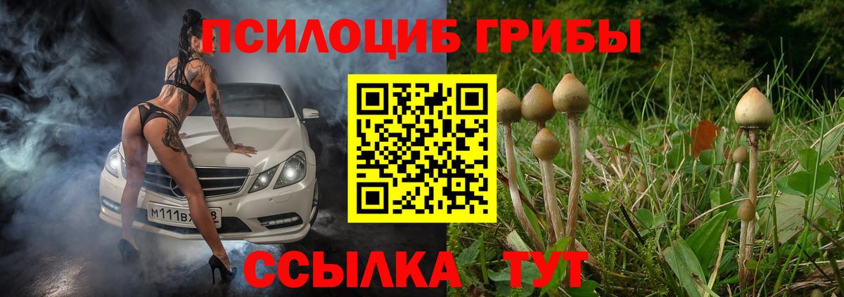 Волжский  дарнет шоп  Вход с VPN  Галлюциногенные грибы Cubensis 