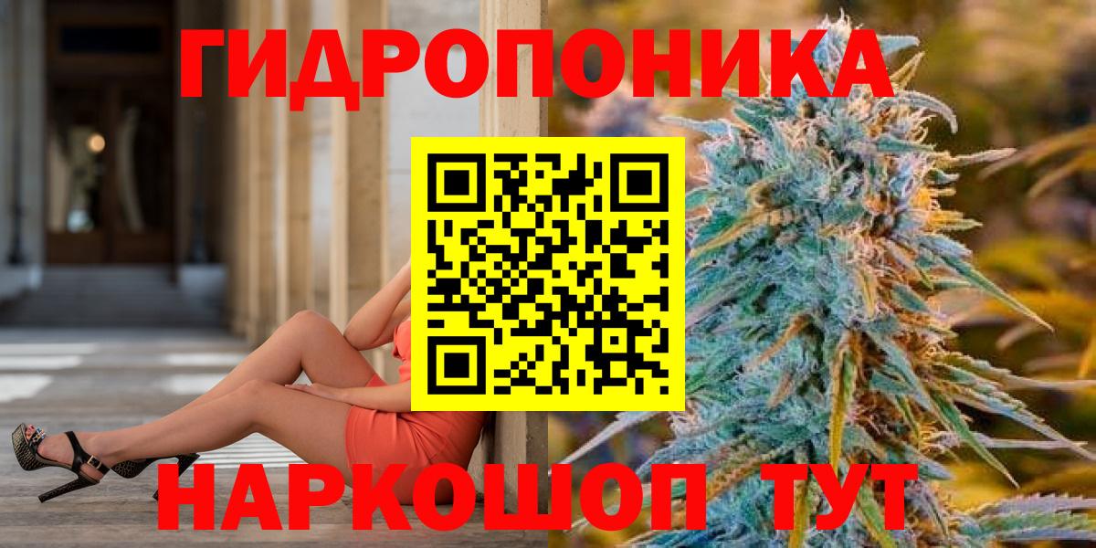 Конопля сатива Волжский